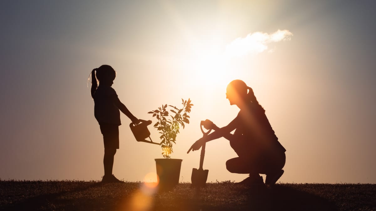 Sustainable Living and Eco-Friendly Practices