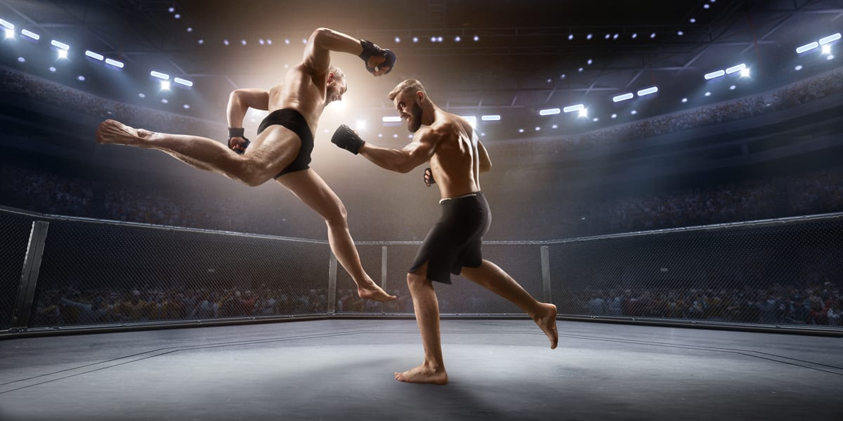 How to Speak MMA: The Lingo, the Fighters, and the Action