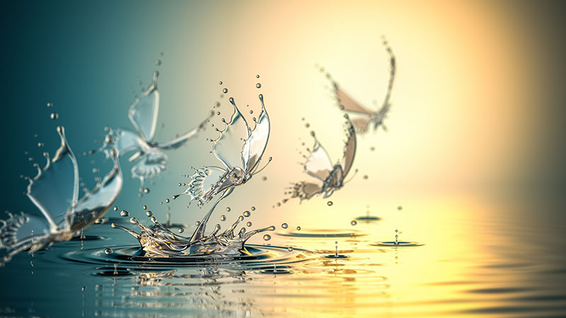 Adapting to Change in a Fast-Paced World