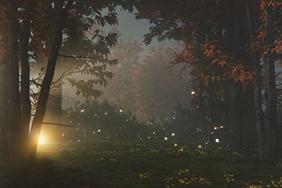 Mysteries of the Quantum Realm