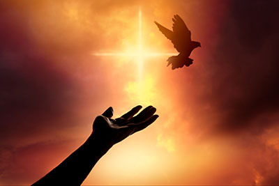 The Unseen Energies in the Universe