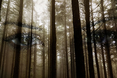 Pioneers of Anomalous Sciences