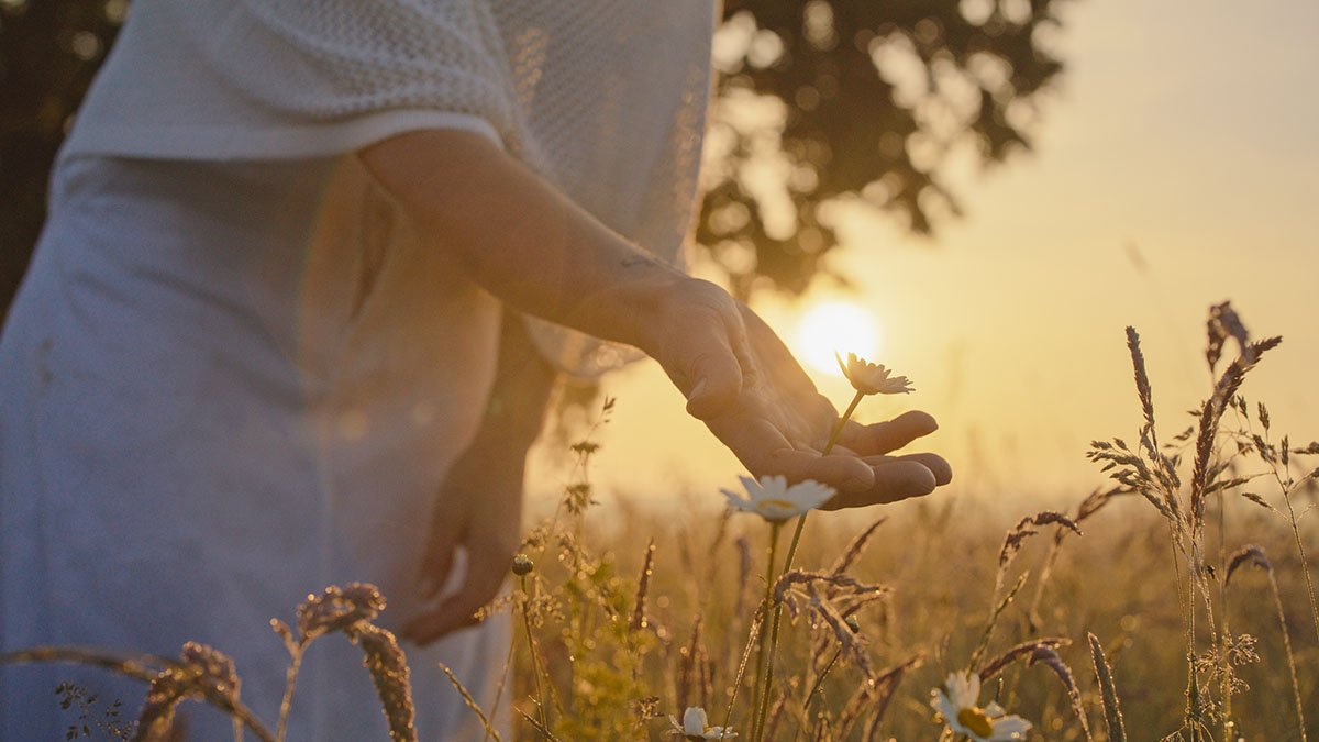 Holistic Nutrition: Fueling Your Body and Mind