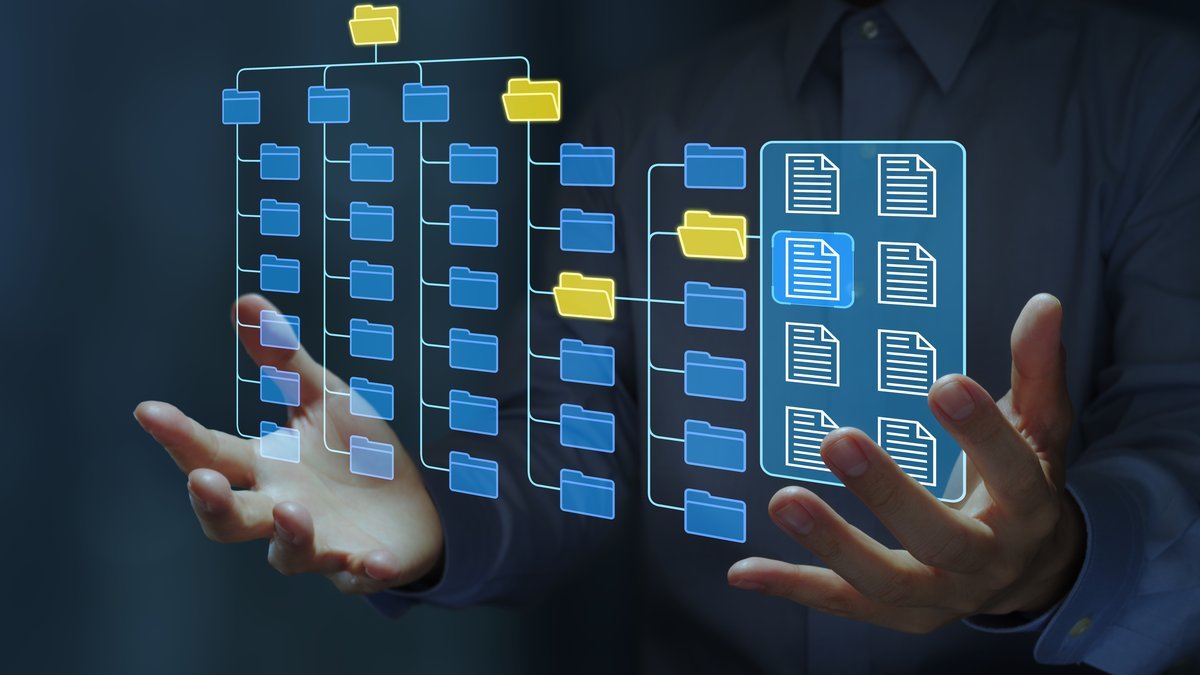 Digital Organization and File Management