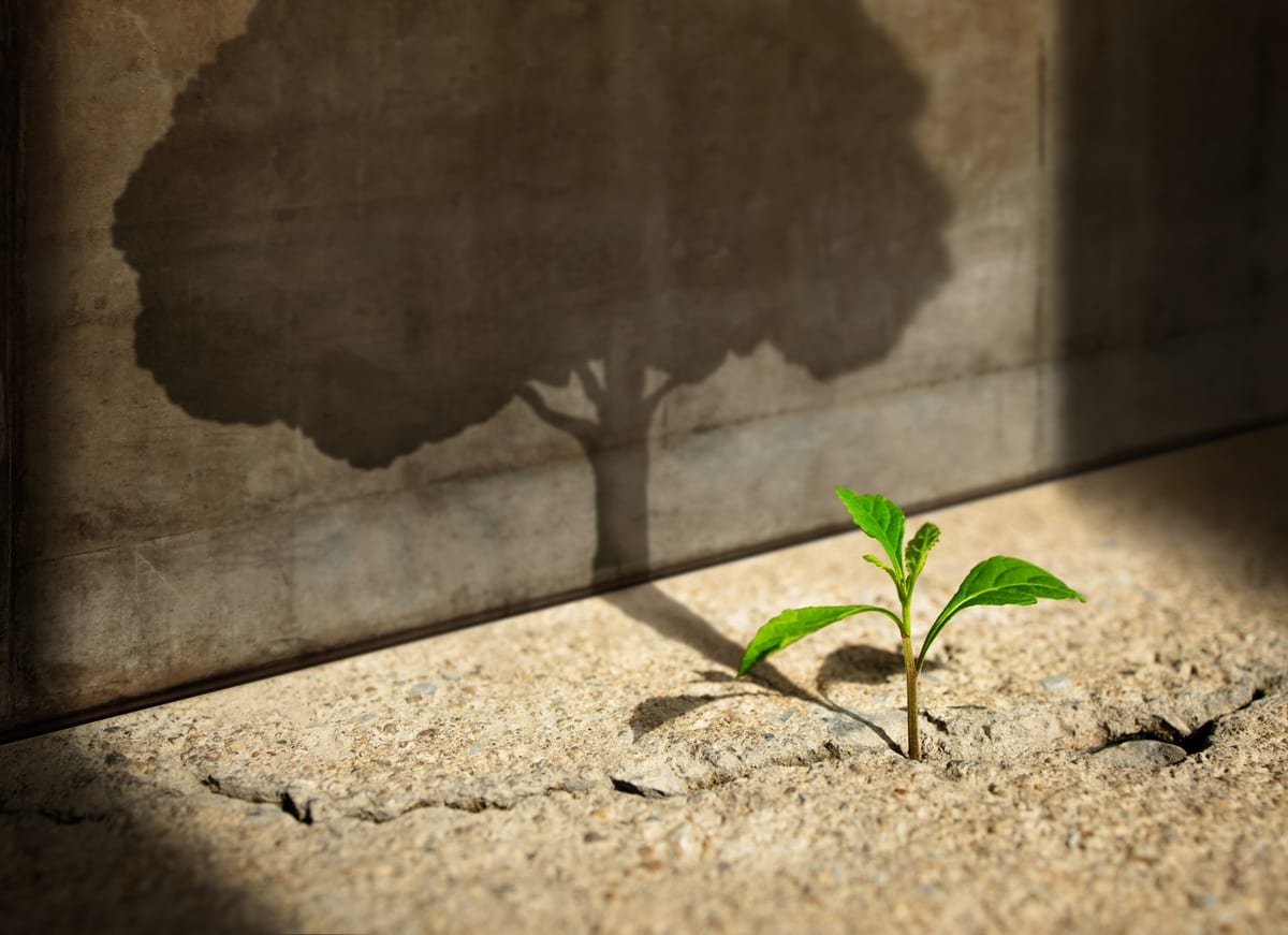 Developing a Growth Mindset