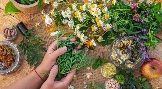 All About Herbs