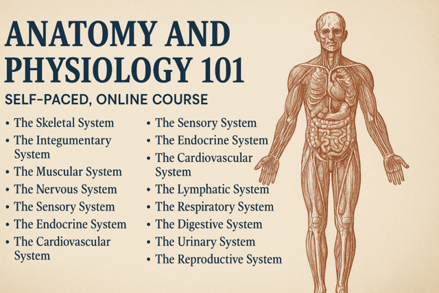 Anatomy and Physiology 101