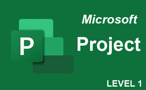 Microsoft Project Level 1