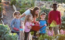 Vegetable Gardening 101