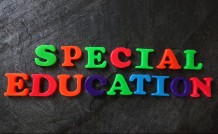 Introduction to Special Education