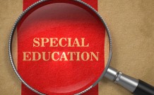 Introduction to Special Education