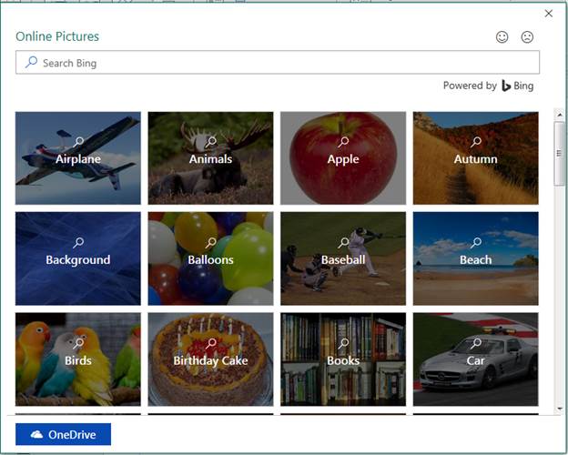 Online Course: Microsoft Publisher Level 1